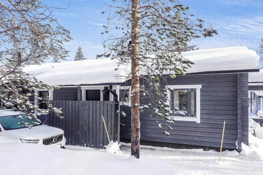 Metso-pirtti - foto 5