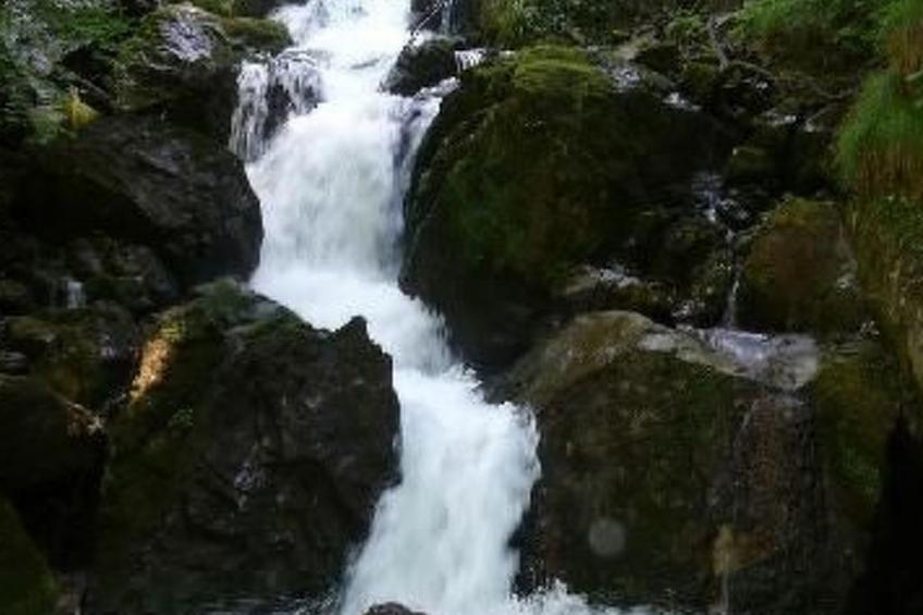 Haus König FEWO - foto 14