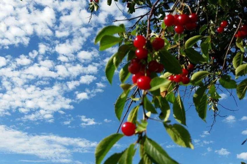 Bauernhaus-Wohnung bei Göta Älv in der Nähe von Göteborg - foto 37
