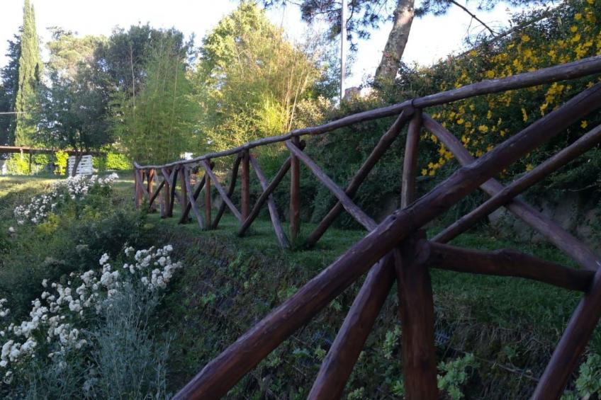 Flache Linde - foto 31