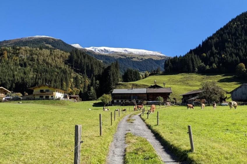 Haus Tauernblick Top 4 - foto 9