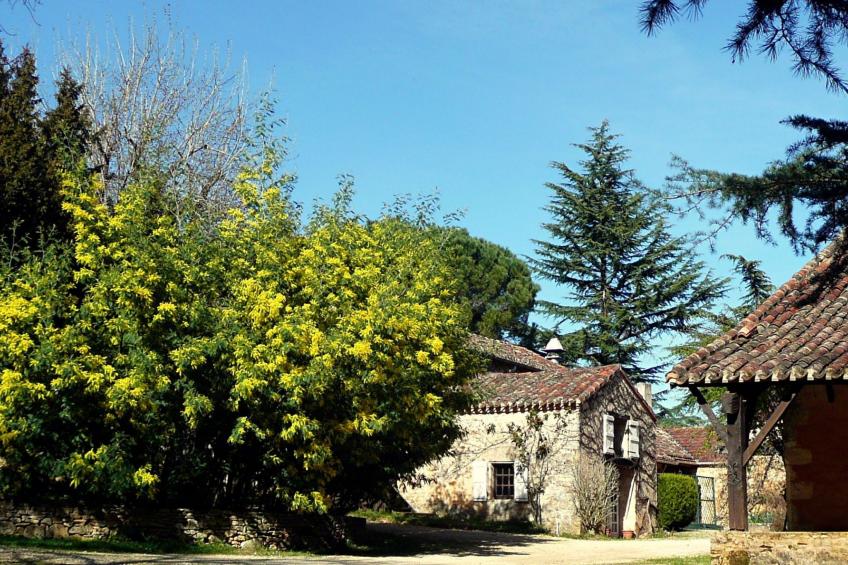 Domäne "Gite La Bergerie" (Ferienwohnung) - foto 10