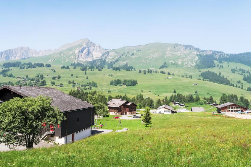 Les Bluets - foto 19