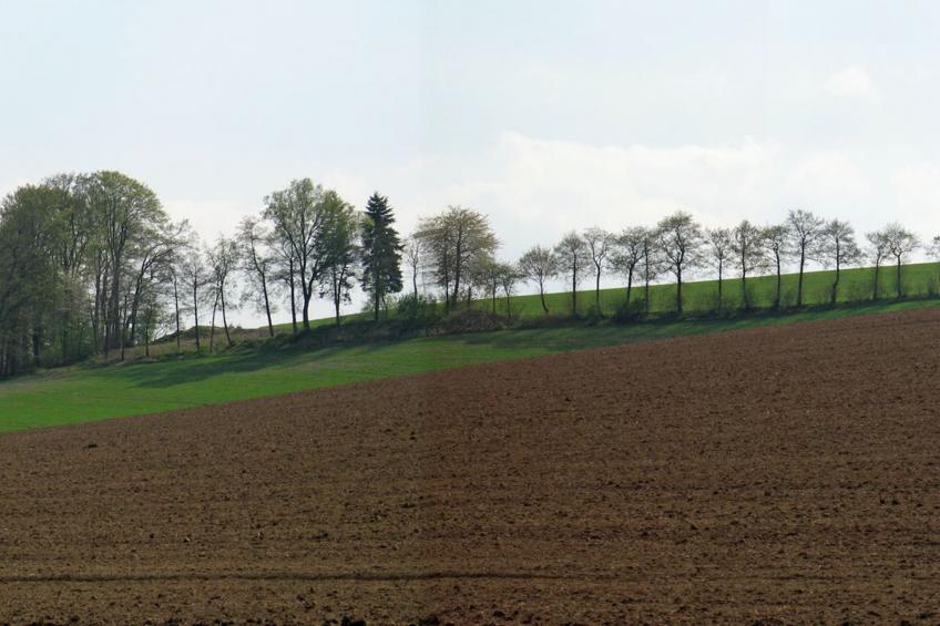 Ober der Hasselt - foto 25