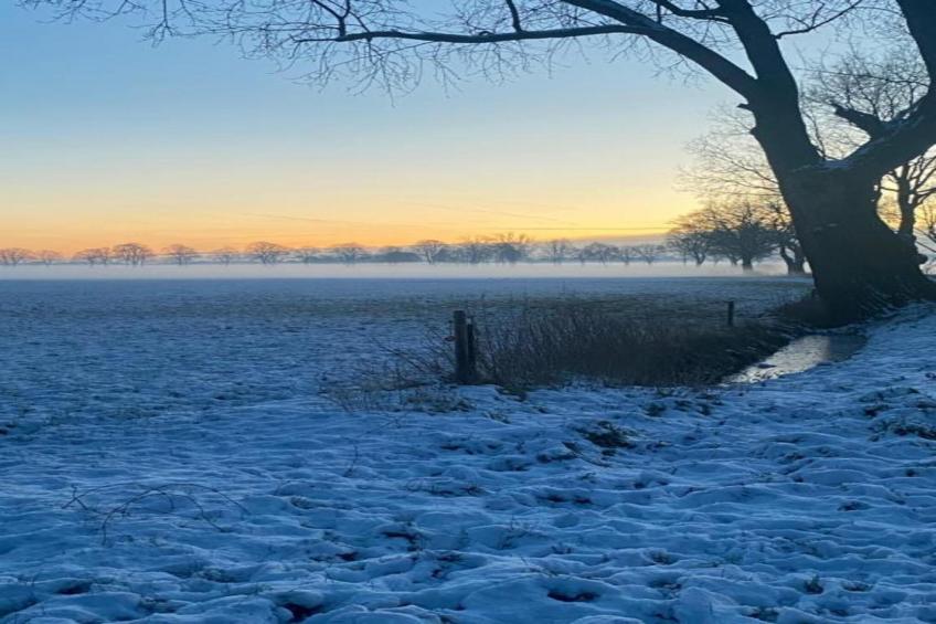 Parc de Kievit 6 - foto 37