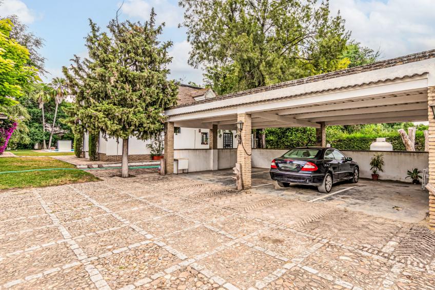 Las Codornices - foto 48