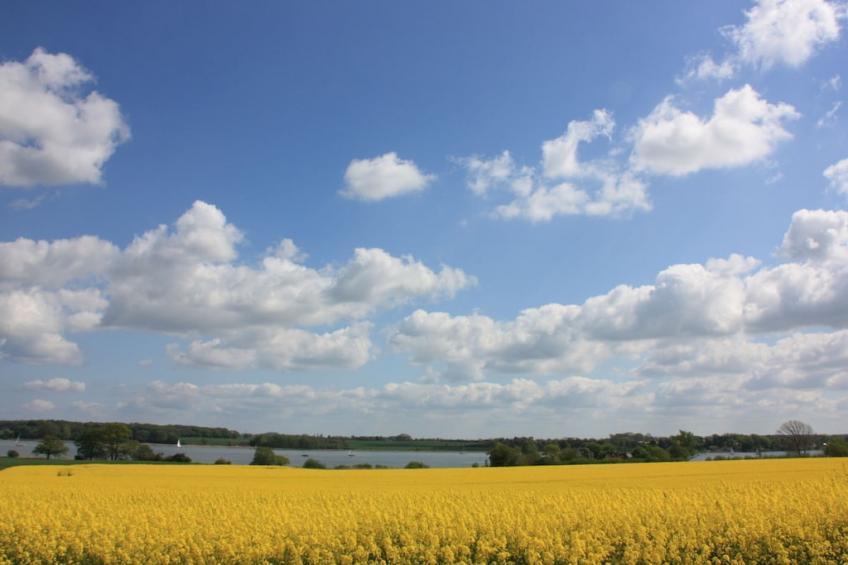 10320 - foto 17