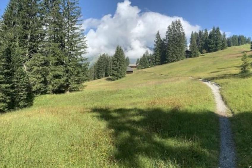 Chalet Bärgblüemli - foto 19