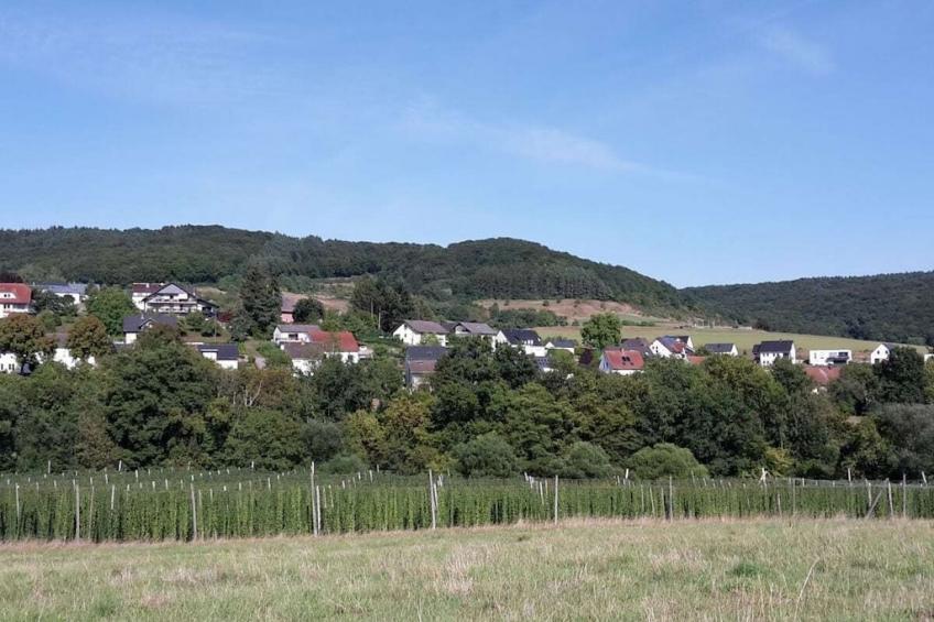 257883 - foto 28