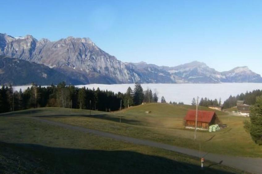 Ferien im grünen rechts - foto 13