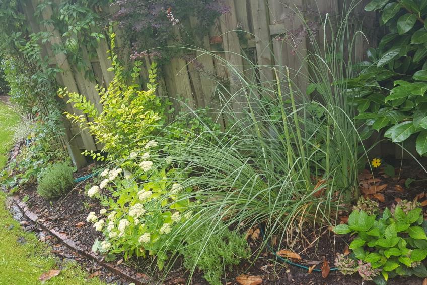 Wesergarten - foto 18