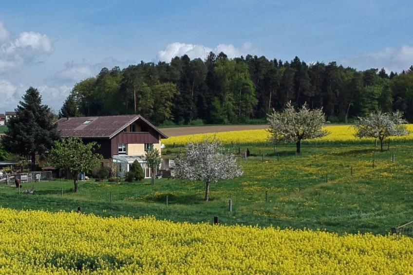 Haslers Hof - foto 3