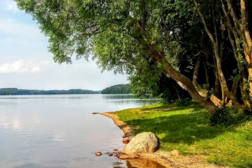 holiday home in Przewoz - foto 28