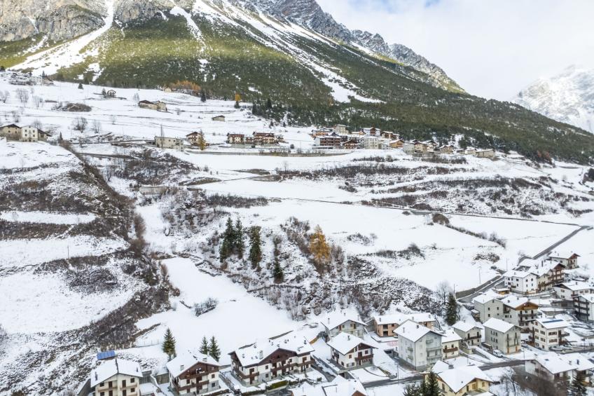 The Silent Sylva - foto 22