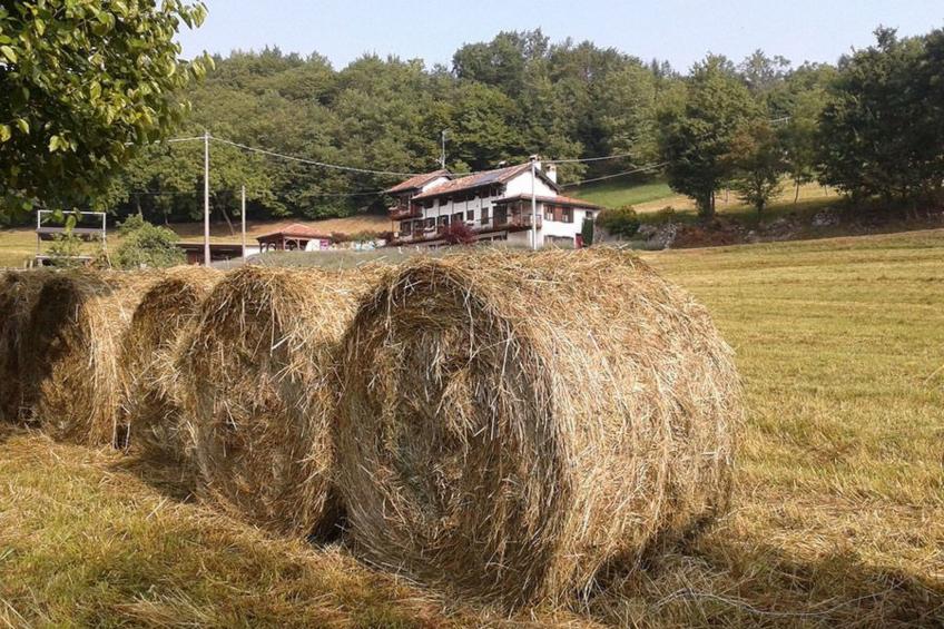Duck's Cottage für einen Dolomitenurlaub - foto 3