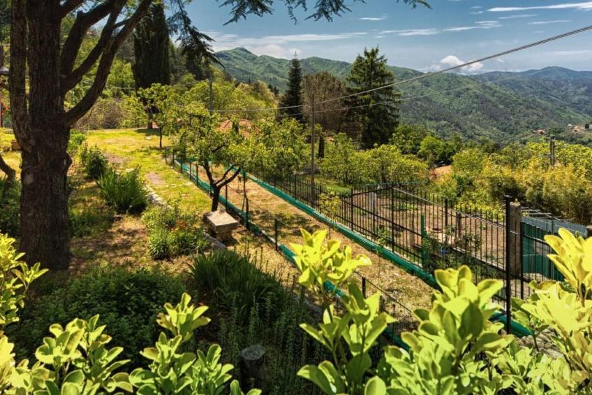 Unabhaengige Wohnung in Velva mit Garten und Grill - foto 19