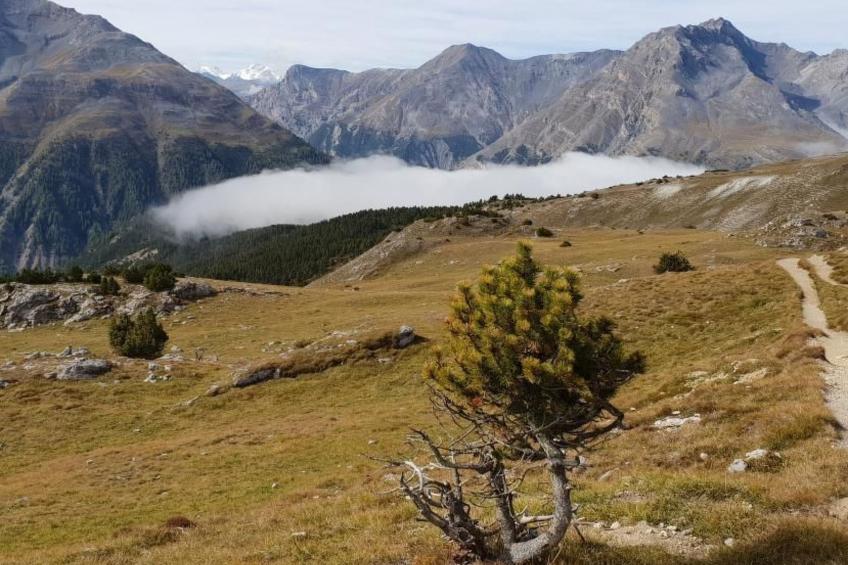 Chasa Melchior - foto 34