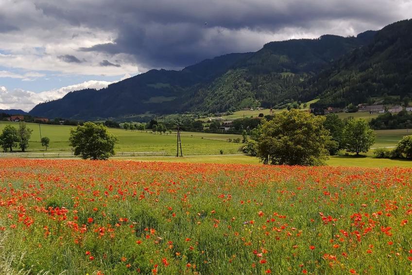 Moderne Wohnung in Pöls mit großer Terrasse - foto 22