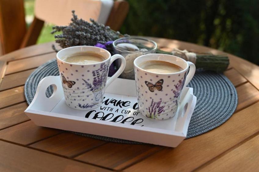 Lavanda Land - Villa Tanya Mrežnica - Three Bedroom Holiday Home with Hot Tub - foto 42