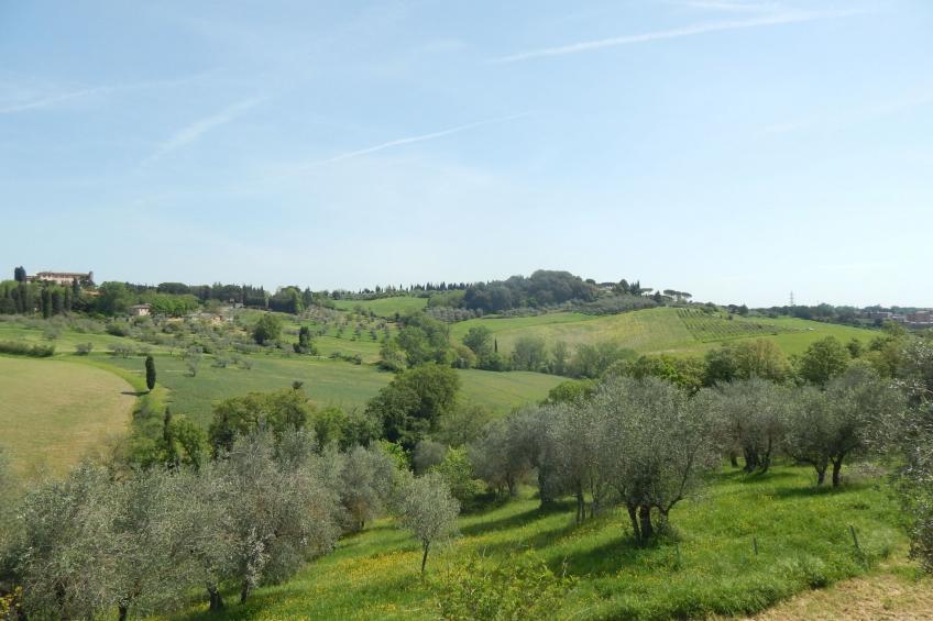 Dreizimmerwohnung für 4 Personen 3 km vom Zentru - foto 11