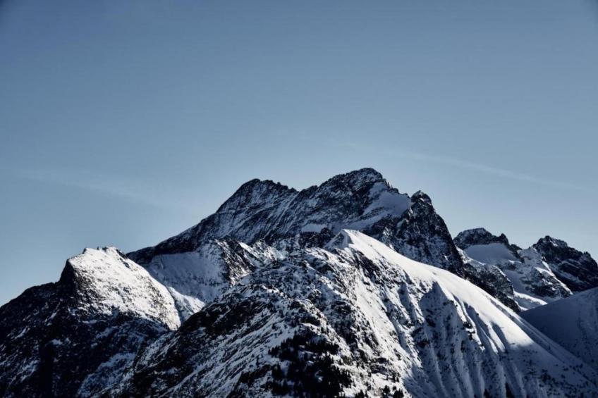 Coeur des Ours B N°01 - 3P6 - foto 28