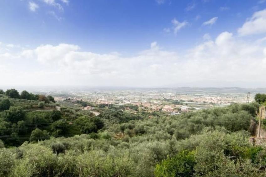 Wohnung "Il Bergamotto" mit Garten - foto 19