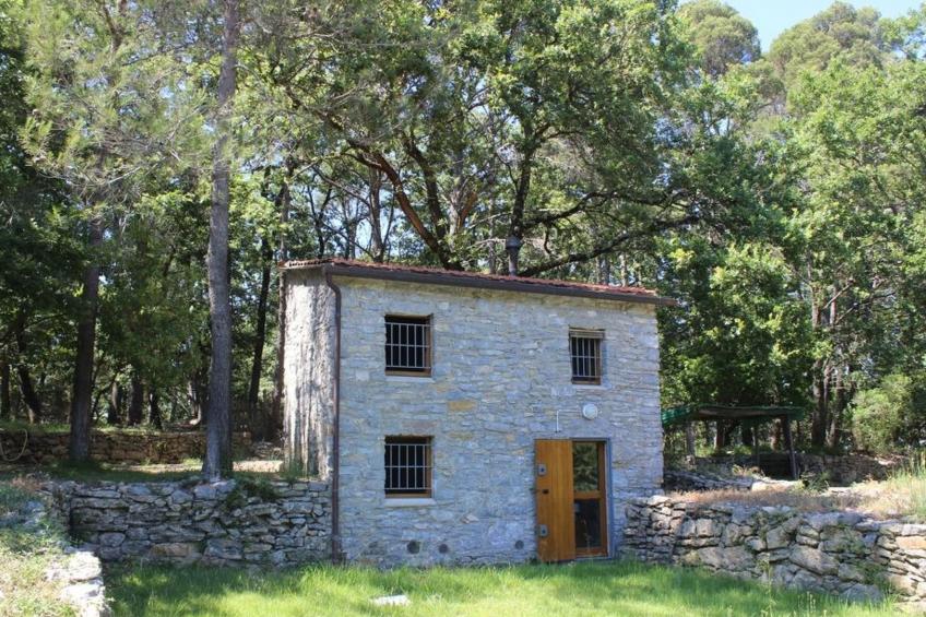 Mago in Ameglia - foto 28