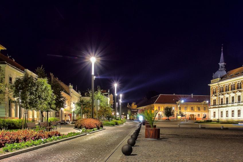 auf großem Gartengrundstück - foto 42