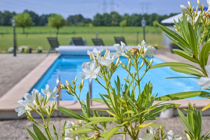 De Vrije Vogel - foto 9