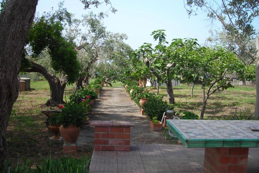 direkt am Strand - foto 12