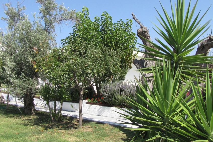 Skiathos Ferienhaus - foto 28