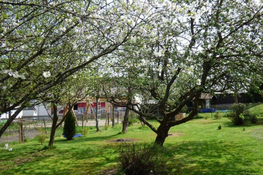 in Siesbach - foto 18