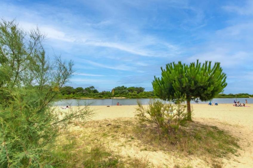 Maison à 10 min du Pilat - foto 27