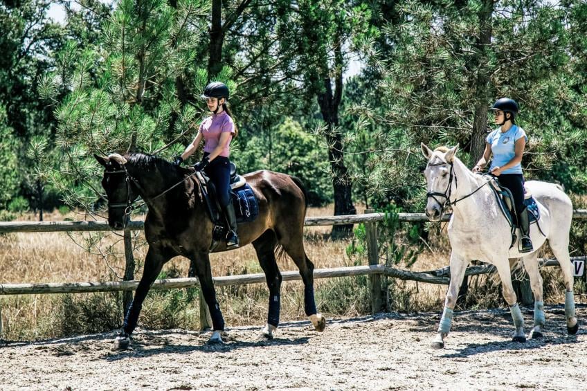 Herdade de Montalvo - foto 28