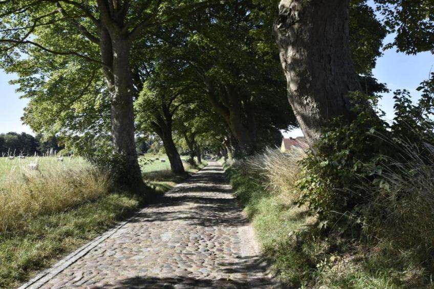 "Gartenblick" bei Gerdshagen - foto 22