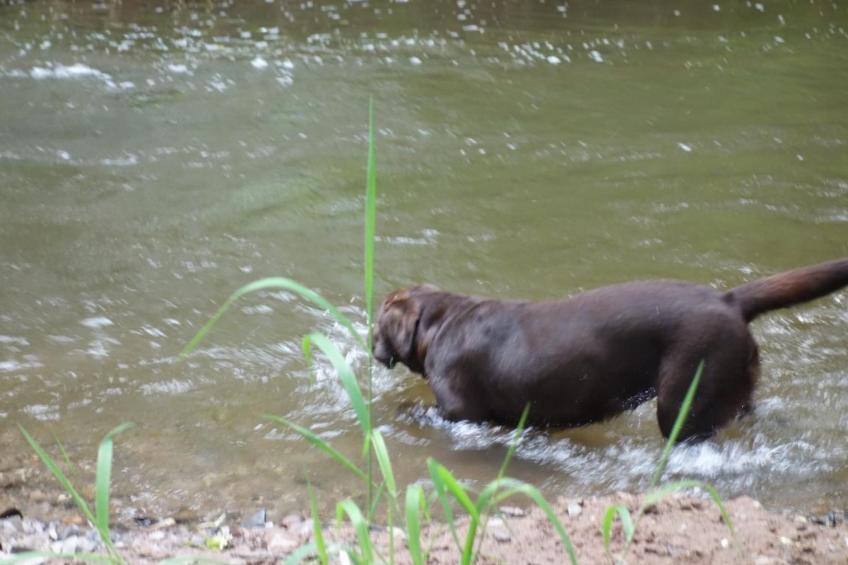 Tolle Wohnung in Klüsserath mit Großem Garten - foto 24