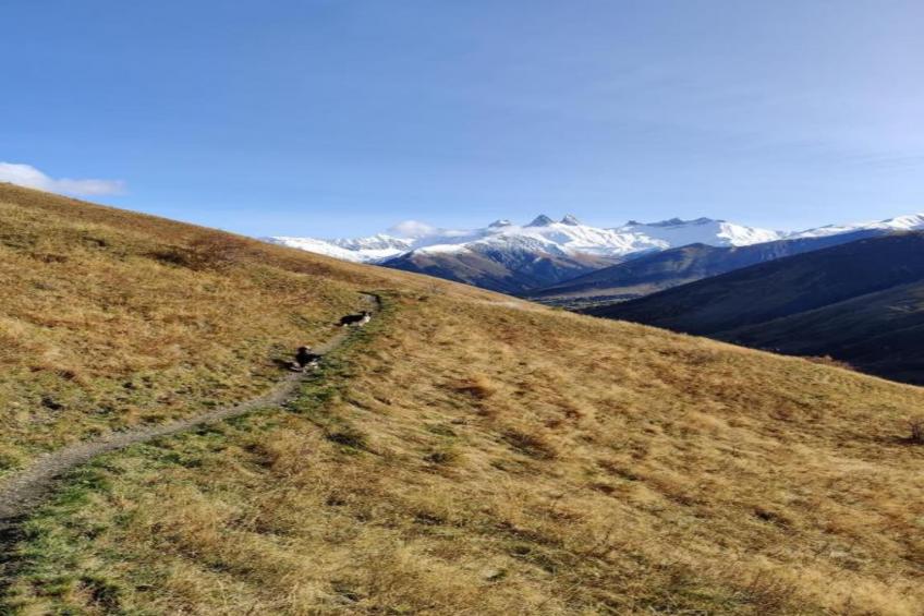 Les Marmottes N°32 - 4P10 - foto 35