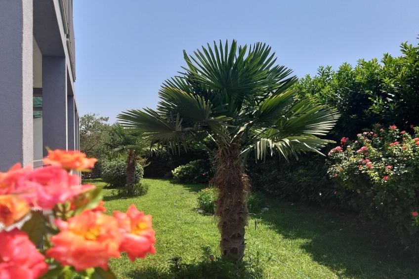 Enelani 1 - foto 30