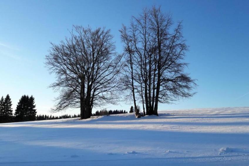 Thüringer Wald - foto 29