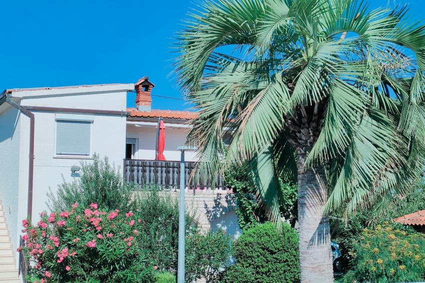 Apartments Snježana Carev  - Studio Apartment with Terrace A-1 - foto 29