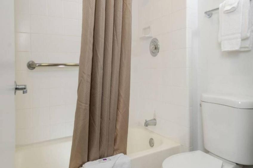 1 Queen Bed  ADA/RI Shower/Non-Smoking - foto 13