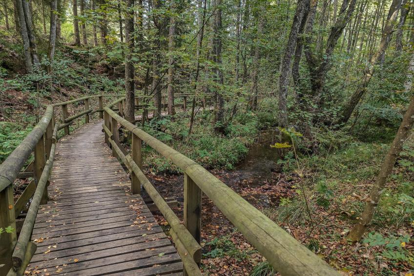 2SZ Deluxe 5 P Winterberg Appartement 21128 - foto 7