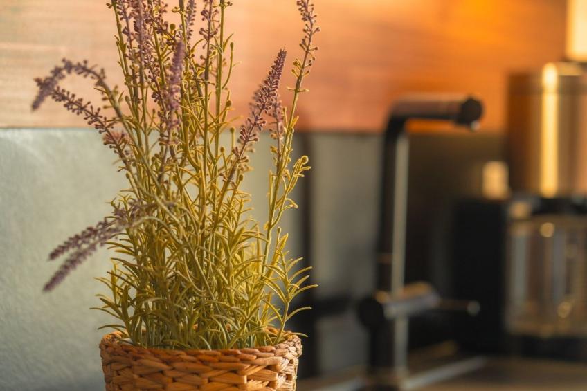 Poolhaus 140 qm|Poolhaus 140 qm - foto 43