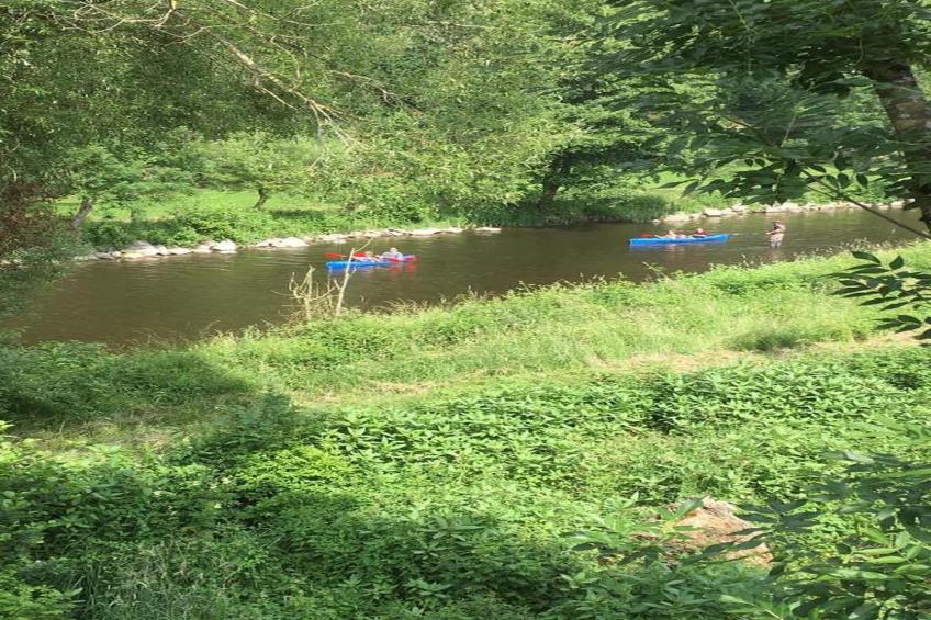 Le Bonheur - foto 29