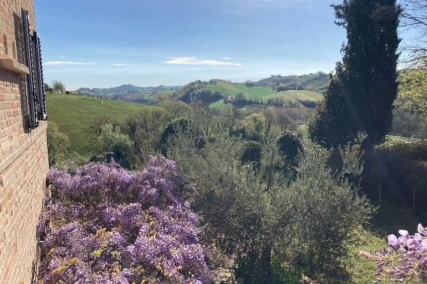 Landgut "Casale Iris" - foto 27