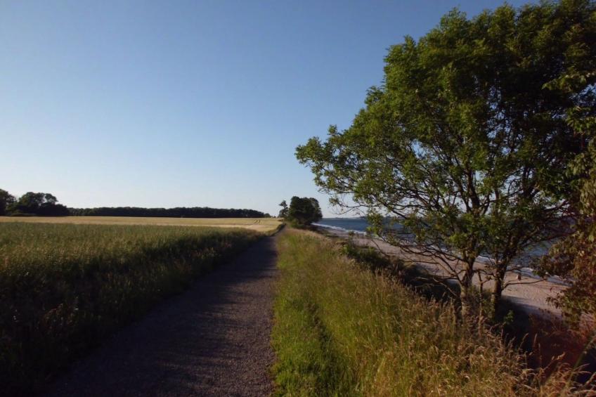 Ostseenahes, gemütliches Ferienhaus - foto 17