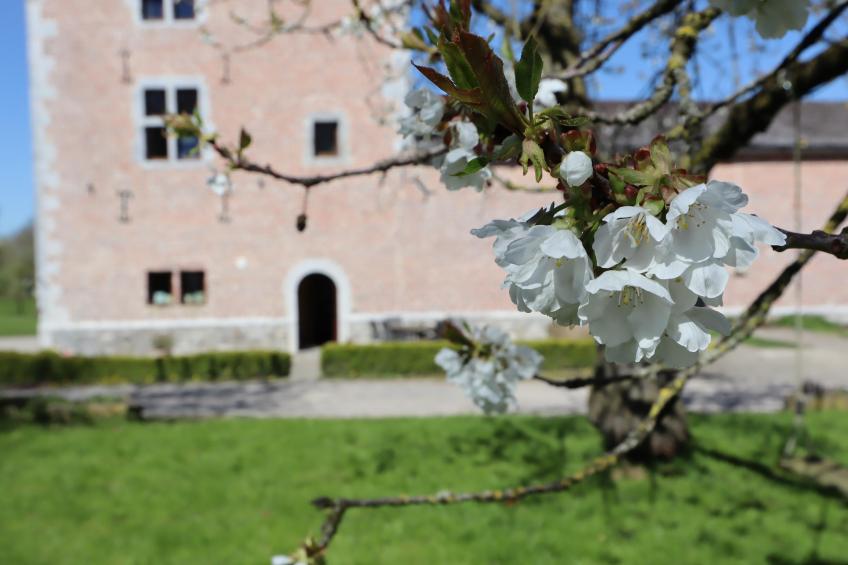 La Tour de la Chapelle - foto 40