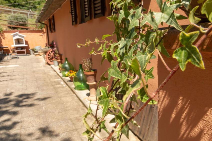 Podere Il Doccio - foto 82