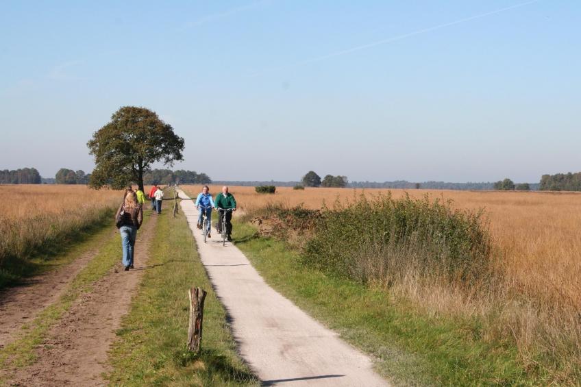 Marke van Ruinen - Markegaerde 4 - foto 15