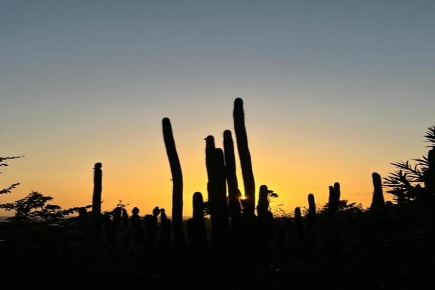 Villa Kas Krioyo - Boca Gentil - foto 38